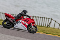 PJ-Motorsport-2019;anglesey-no-limits-trackday;anglesey-photographs;anglesey-trackday-photographs;enduro-digital-images;event-digital-images;eventdigitalimages;no-limits-trackdays;peter-wileman-photography;racing-digital-images;trac-mon;trackday-digital-images;trackday-photos;ty-croes